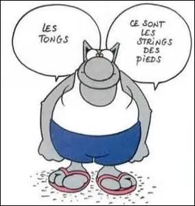 Ressemble à la précédente, sans outil grammatical permettant de lier deux éléments comparés. Le passage d'un sens à un autre a lieu par une opération personnelle fondée sur une impression ou une interprétation qui doit être trouvée, ou revécue par le lecteur. Quel est le sujet de mes dires ?