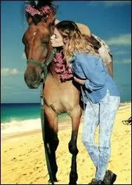 Quelle est l'autre passion de Violetta dans la saison 3 ?