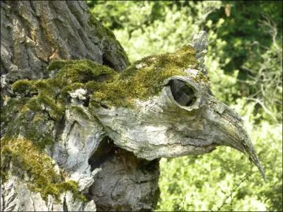 Si cet oiseau avait existé auparavant, on pourrait dire qu'il est maintenant un zoolithe, oui, mais encore ?