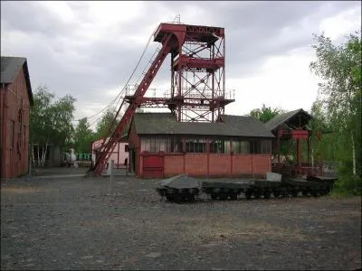 Renazé doit sa renommée à :