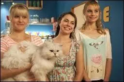 Est-ce le rôle principal ou un des rôles principaux ?