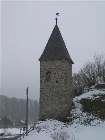 A quelques kilomètres de Zoug se trouve Morgarten. Quel événement s'y est déroulé en 1315 ?