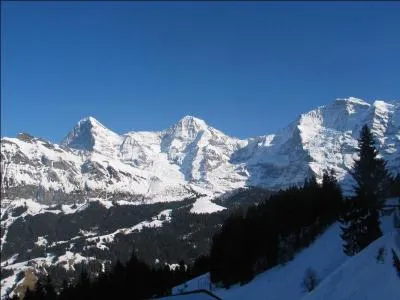 En fait, que signifient ces noms, si on les traduit en français ? (Toujours dans l'ordre de gauche à droite)