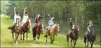 Le polo est un sport d'équipe qui se joue :