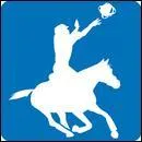 À quel sport terrestre ressemble le horse-ball ?