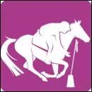 Les pony games se font avec :