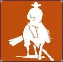 Le reining fait-il partie du western ?