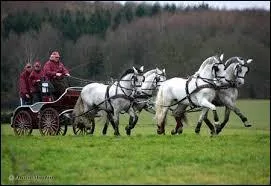 Quelle est cette discipline ?