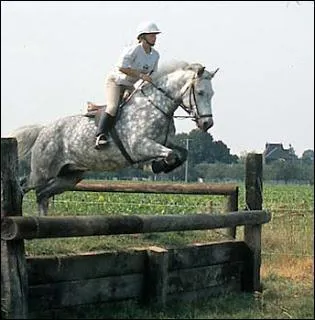 Au cross, il faut franchir les obstacles à plus de :
