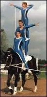 Quelle est cette discipline en équitation ?