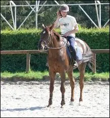 Qu'est-ce que l'équifeel ?