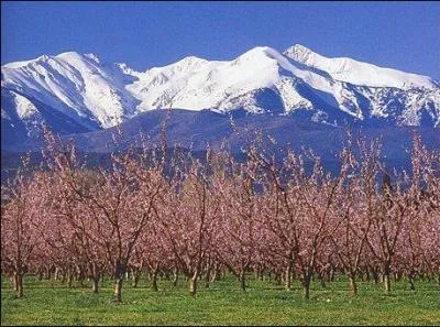Où est situé le massif du Canigou ?