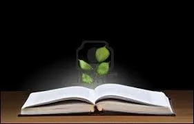 Qui a écrit "Les vertes années" ?