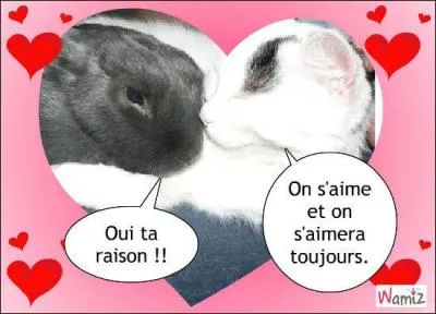 1983. "La première fois qu'on s'aimera / Tu te rappelles ? / Celui de nous deux qui rira / Perdra son ciel / On s'aimera comme si l'amour n'existait plus." Michel Sardou et... se le disent !