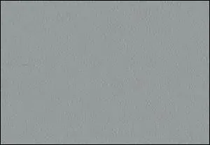 A quel animal n'apparentez-vous pas cette couleur quelque peu grisâtre ?