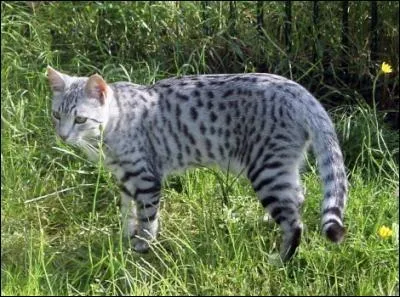 De quelle union est-il né ?