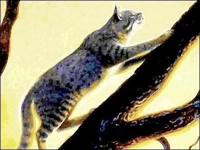 Qui a été son mentor ?