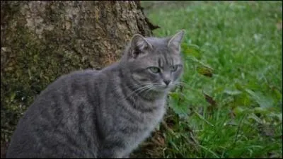 Qui ont été ses apprentis ?