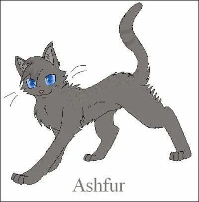 Combien a-t-il eu de tanières en tout ?