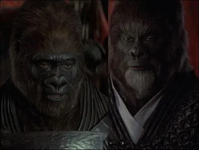 Ces 2 singes ennemis vont finir par se battre à la fin du film. L'un d'eux va-t-il l'emporter ?