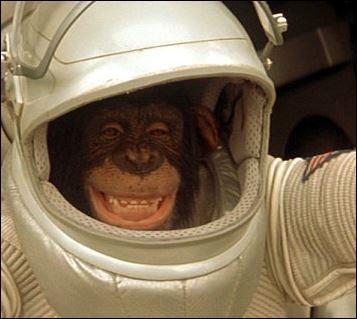 Comment s'appelle la station spatiale où des chimpanzés sont entraînés à piloter des engins spatiaux ?
