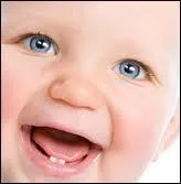 La denture d'un adulte comporte 32 dents. Combien un enfant a-t-il de "dents de lait" ?