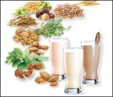 Avec laquelle de ces plantes ne fait-on pas de "lait végétal" ?