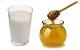 Dans la Bible, quel pays est désigné sous le vocable de "Pays ruisselant de lait et de miel" ?