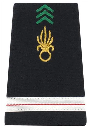 De quel grade s'agit-il ?