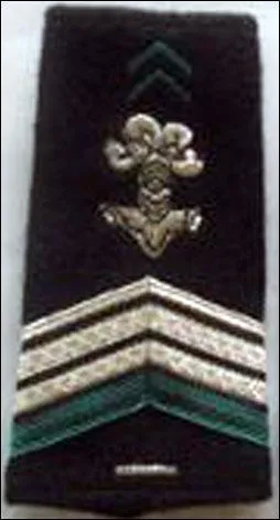 De quel grade s'agit-il ?