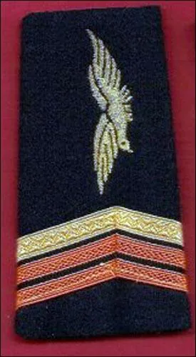 De quel grade s'agit-il ?