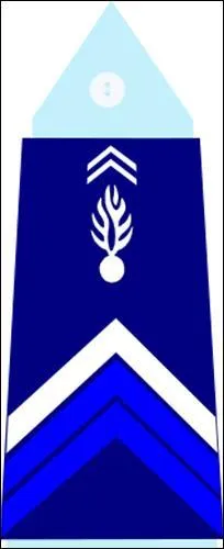 De quel grade s'agit-il ?