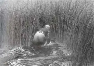 Un seul des métiers suivants ne vous sera plus proposé par Pôle-Emploi. Lequel ?