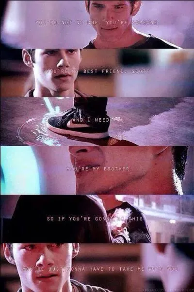 Combien y a-t-il de saisons ?