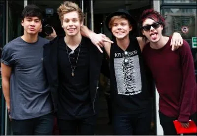 Comment les 5 Seconds Of Summer se sont fait connaître ?