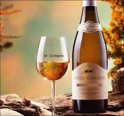 Comment ? Ah, vous voulez boire ! Je vous propose un ---- rancio hors d'âge. Mais dites-moi, quel genre de vin est-il ?