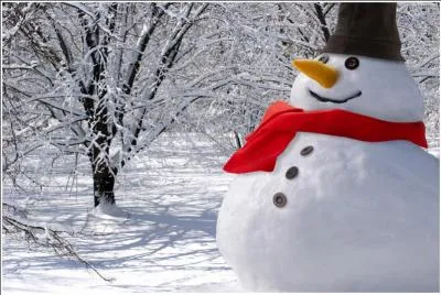 Quelle était la particularité du Bonhomme de neige de Jacques Prévert "L'hiver" ?