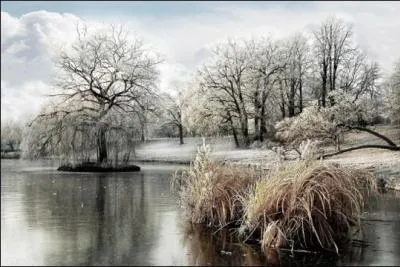 Dans la chanson de Jacques Douai, il chante " Je ne veux pas être tout seul quand l'hiver tournera de l'oeil, Fais du feu dans la cheminée ..." Où neigeait-il dans cette chanson ?