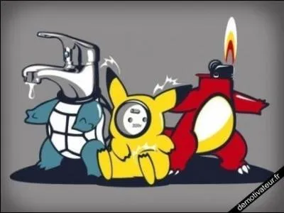 En quoi s'est transformé Carapuce ?