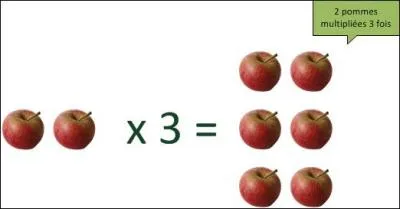 Si tu multiplies ces pommes, quel est ton résultat ?