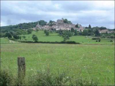 Mon oncle Nicolas m'a envoyé une belle carte de sa ville de Bourmont, dans quel département réside-t-il ?