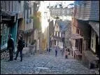 Petite ville pittoresque dominant la Rance et son port. Elle est réputée pour ses vieilles ruelles pavées et ses belles maisons à pans de bois.