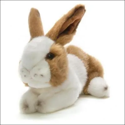 Qu'est-ce que c'est ?