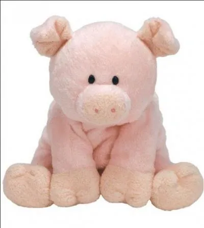 Quel est cet animal ?