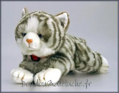 Reconnais-tu cet animal ?