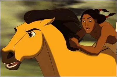 Complétez le titre du dessin animé sorti en 2002 : "...... l'étalon des plaines".