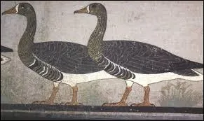 Les anciens Égyptiens considéraient les oies comme :