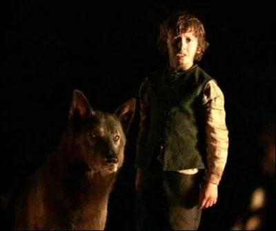 Quel est le nom du loup-garou de Rickon Stark ?