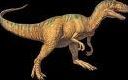 Quiz Dinosaures
