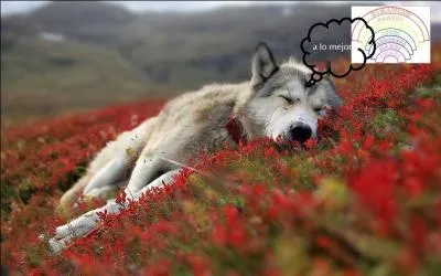 Expression étrangère.
Quand il s'agit de remettre un projet on dit être atteint de procrastination, mais comment dit-on « attendre la semaine des quatre jeudis » en espagnol ?